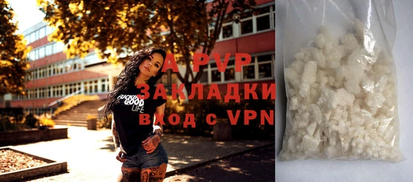 круглые Иннополис