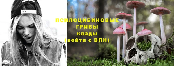 мяу мяу мука Инсар